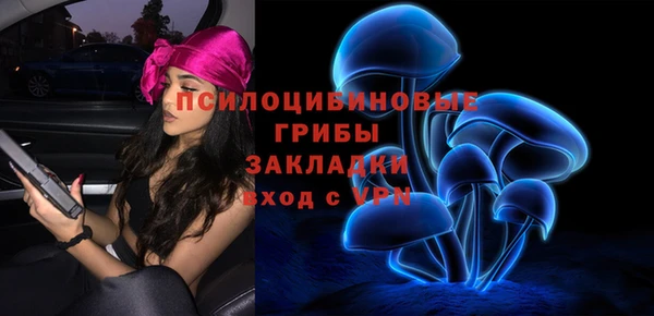 шишки Волосово