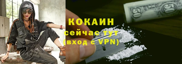 шишки Волосово
