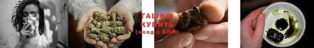 шишки Волосово