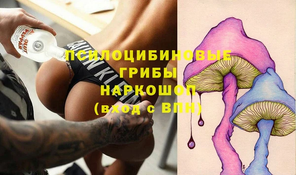 шишки Волосово