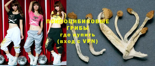 крисы Волоколамск