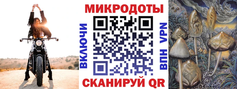 Купить закладки  Кораблино  Галлюциногенные грибы Psilocybine cubensis 